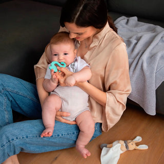 Chicco-Soft-Iguana-Teething...