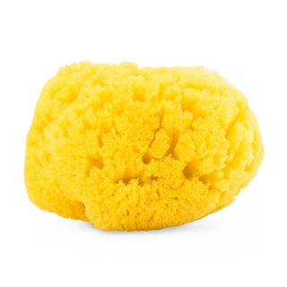 chicco-medium-natural-sea-s...