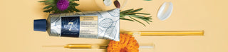 phyto-banner.webp