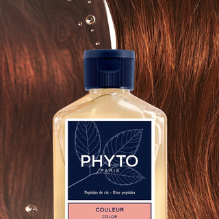 phyto-color-shampoo_1.webp