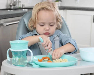 Chicco Meal Time Accessories
