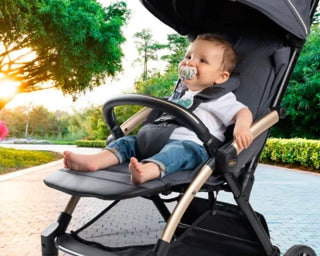 Chicco Pacifier Holder