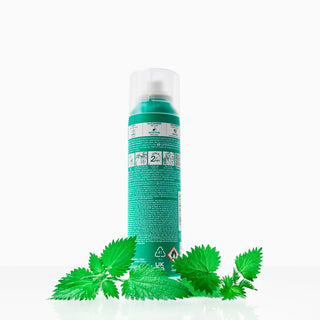 Klorane Shampoo Dry Nettle for Oily Hair 150ml