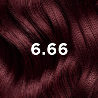 Phyto Permanent Hair Color 6.66 Intense Cherry