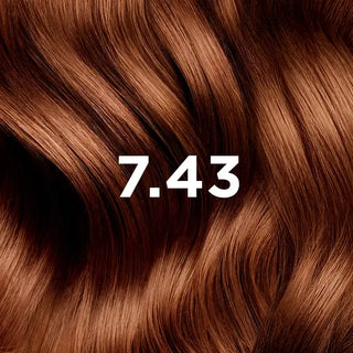 Phyto Permanent Hair Color 7.43 Copper Golden Blonde